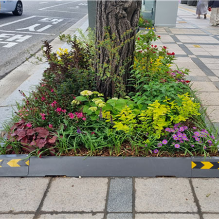 정원 대표 이미지