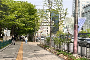 계절별 봄사진