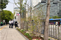 계절별 여름사진