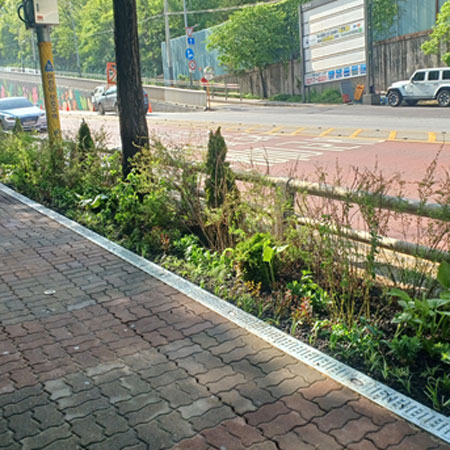 정원 대표 이미지