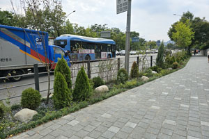 계절별 봄사진