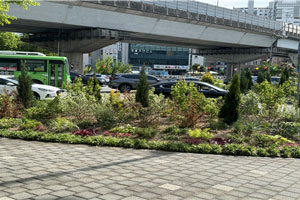 계절별 봄사진