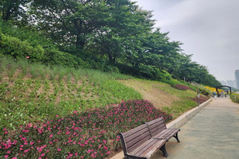 계절별 여름사진