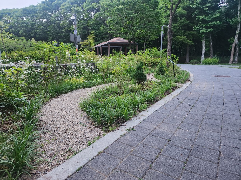 계절별 여름사진
