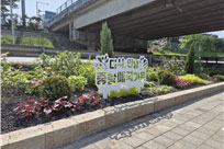 계절별 여름사진