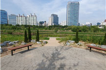 계절별 여름사진