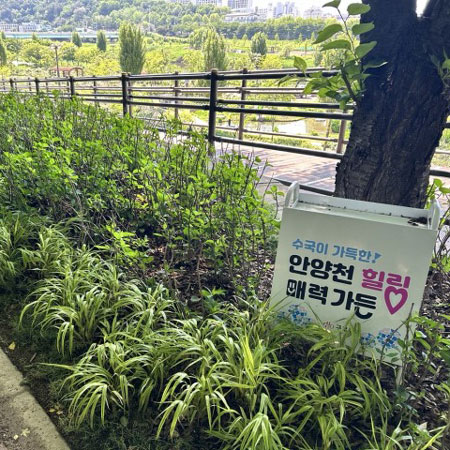 정원 대표 이미지