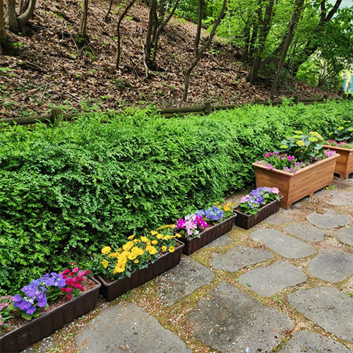 계절별 여름사진