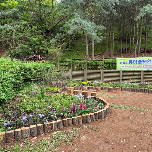계절별 봄사진