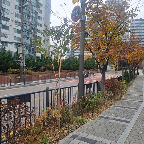 계절별 가을사진