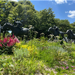 계절별 가을사진