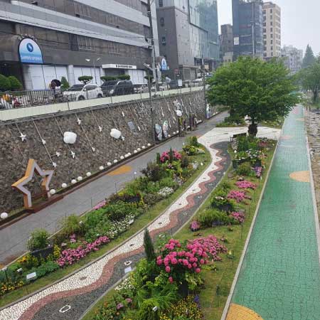 계절별 봄사진