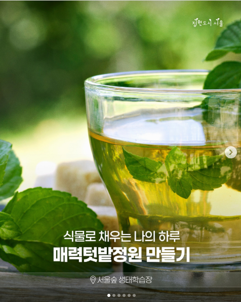 매력텃밭정원 만들기