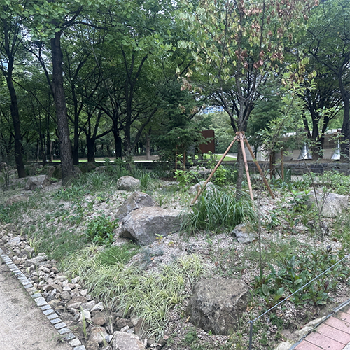 정원 대표 이미지