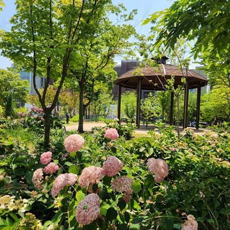 정원 대표 이미지