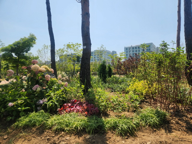 계절별 봄사진