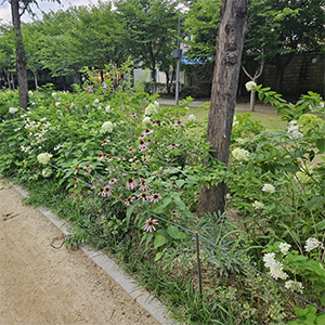 계절별 여름사진