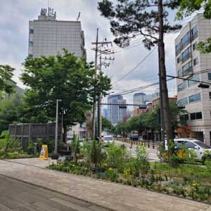 계절별 여름사진