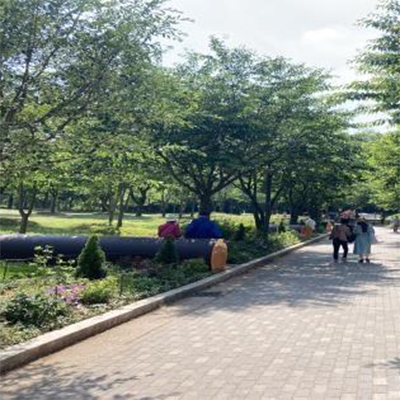 계절별 봄사진