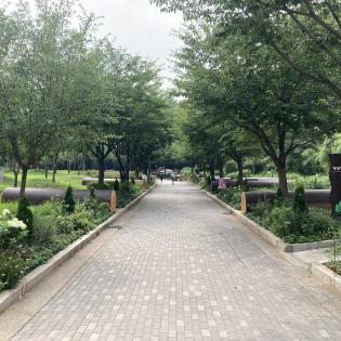 계절별 여름사진