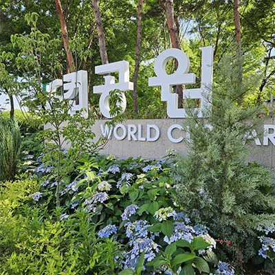 계절별 봄사진