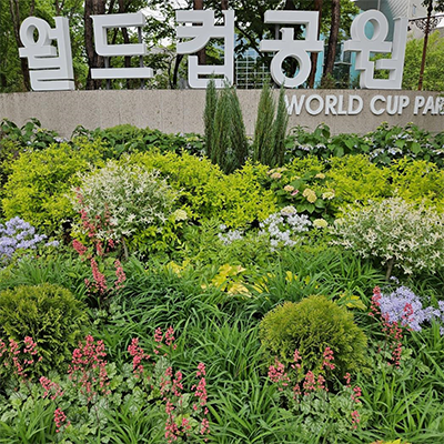 계절별 여름사진