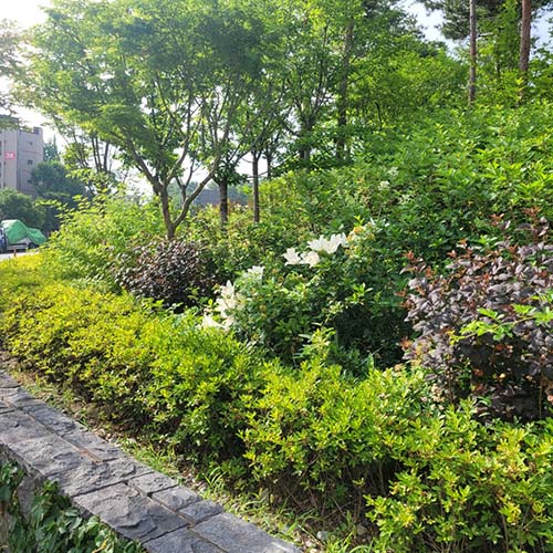 계절별 봄사진