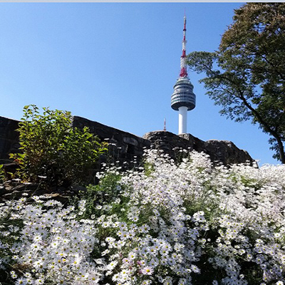 계절별 가을사진