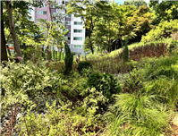 계절별 봄사진
