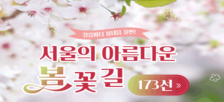 걸음마다 봄내음 물씬
서울의 아름다운 봄꽃길