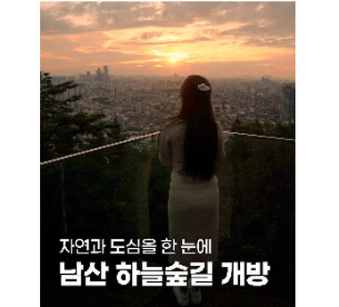 자연과 도심을 한눈에 남산 하늘숲길 개방