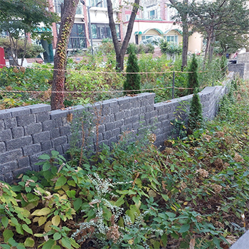 계절별 여름사진