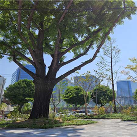 정원 대표 이미지
