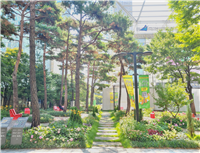 계절별 봄사진