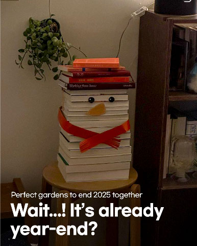 Perfect gardens to end 2025 together
Wait...! It’s already year-end?