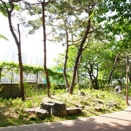 정원 대표 이미지