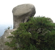 수락산도시자연공원