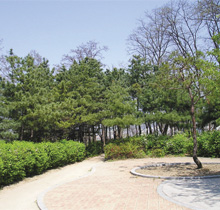 답십리근린공원