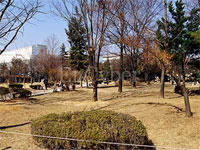 도산근린공원
