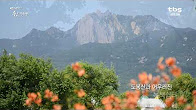 영상에세이 쉼 "창포원”