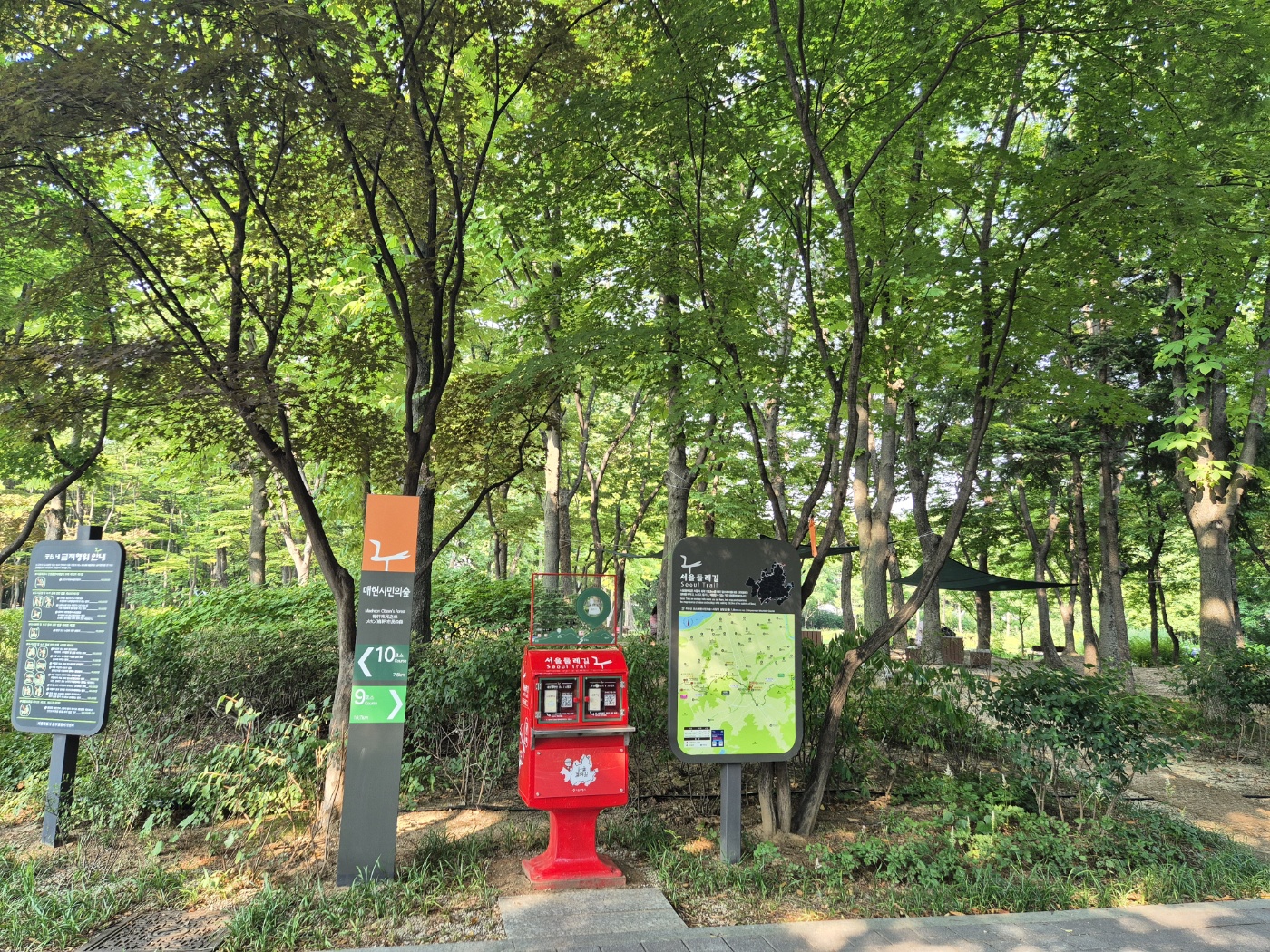 조성사진
