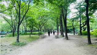 조성사진