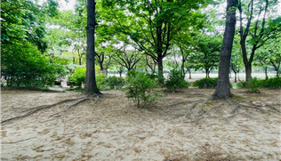 조성사진
