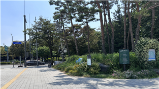 조성사진