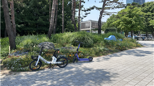 조성사진