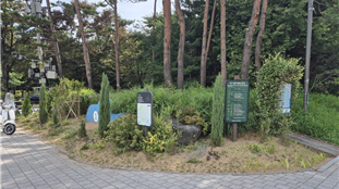 조성사진