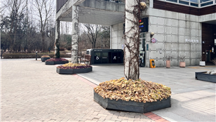 조성사진