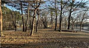 조성사진