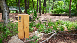 조성사진