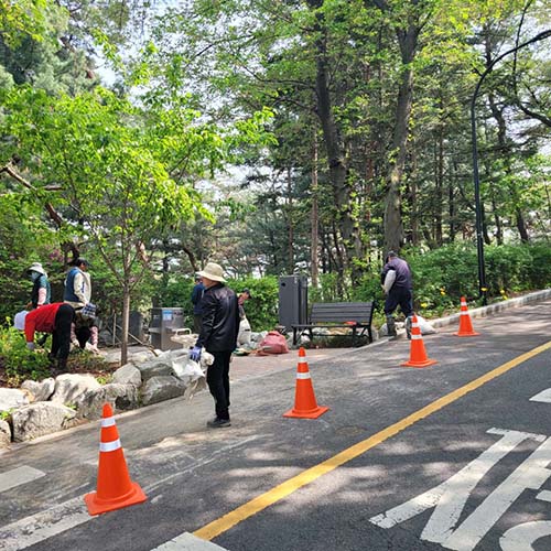 조성사진